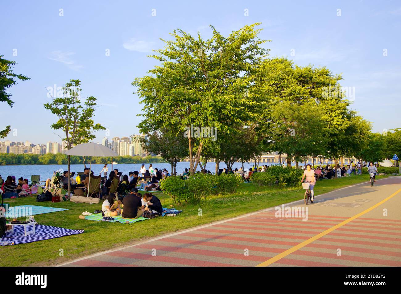 Seoul, South Korea - June 3, 2023: Picnickers enjoying a day on the lawn next to the Han River in Yeouido Hangang Park, with green trees in the foregr Stock Photo