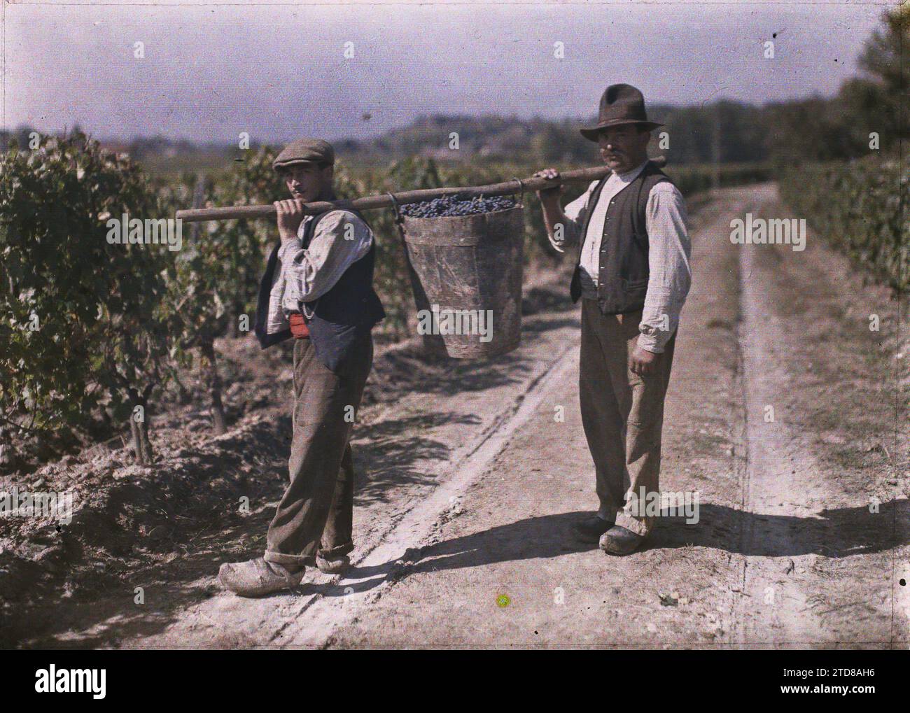 Two baste carriers hi-res stock photography and images - Alamy