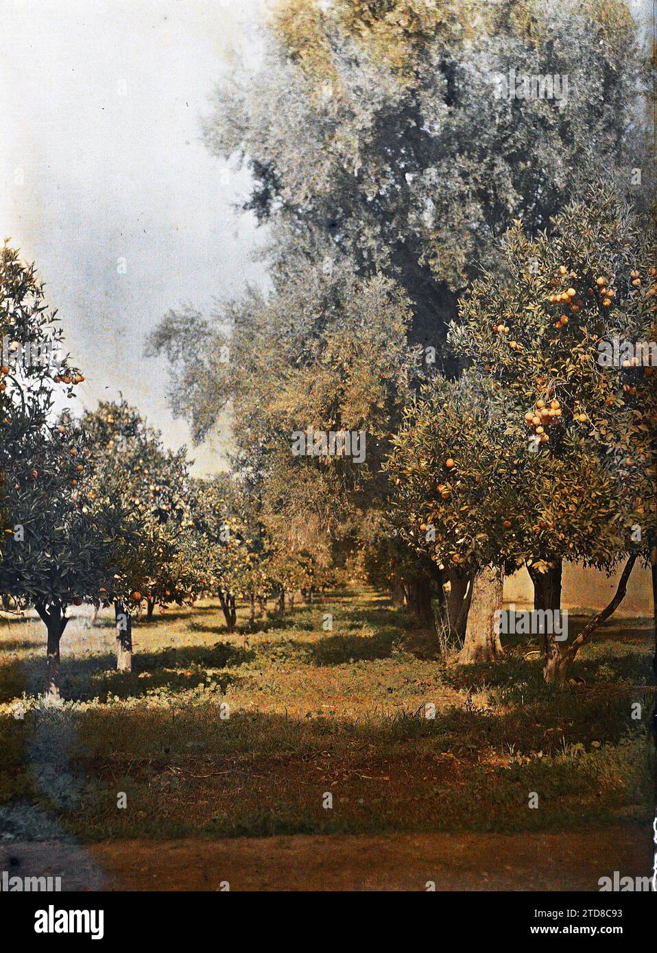 Jardins du sultan hi-res stock photography and images - Alamy