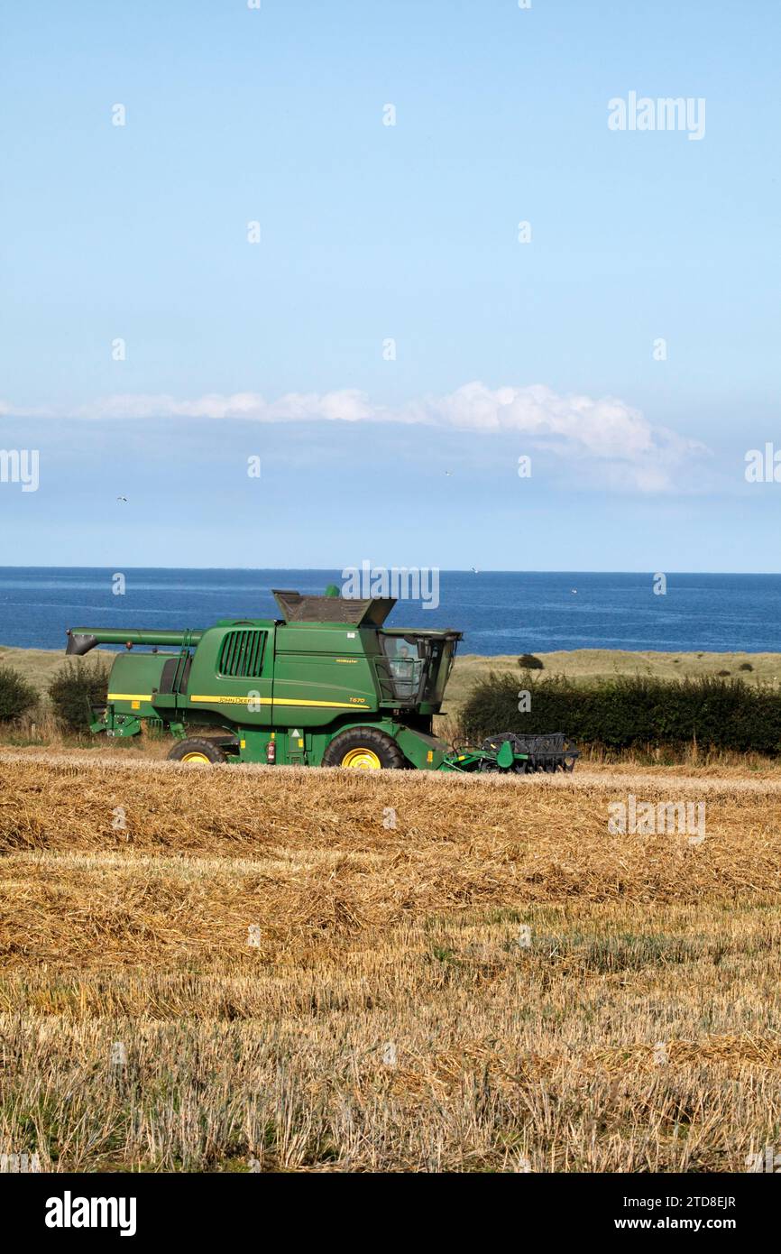 Combine Harvesting seperating grain from chaff Stock Photo - Alamy