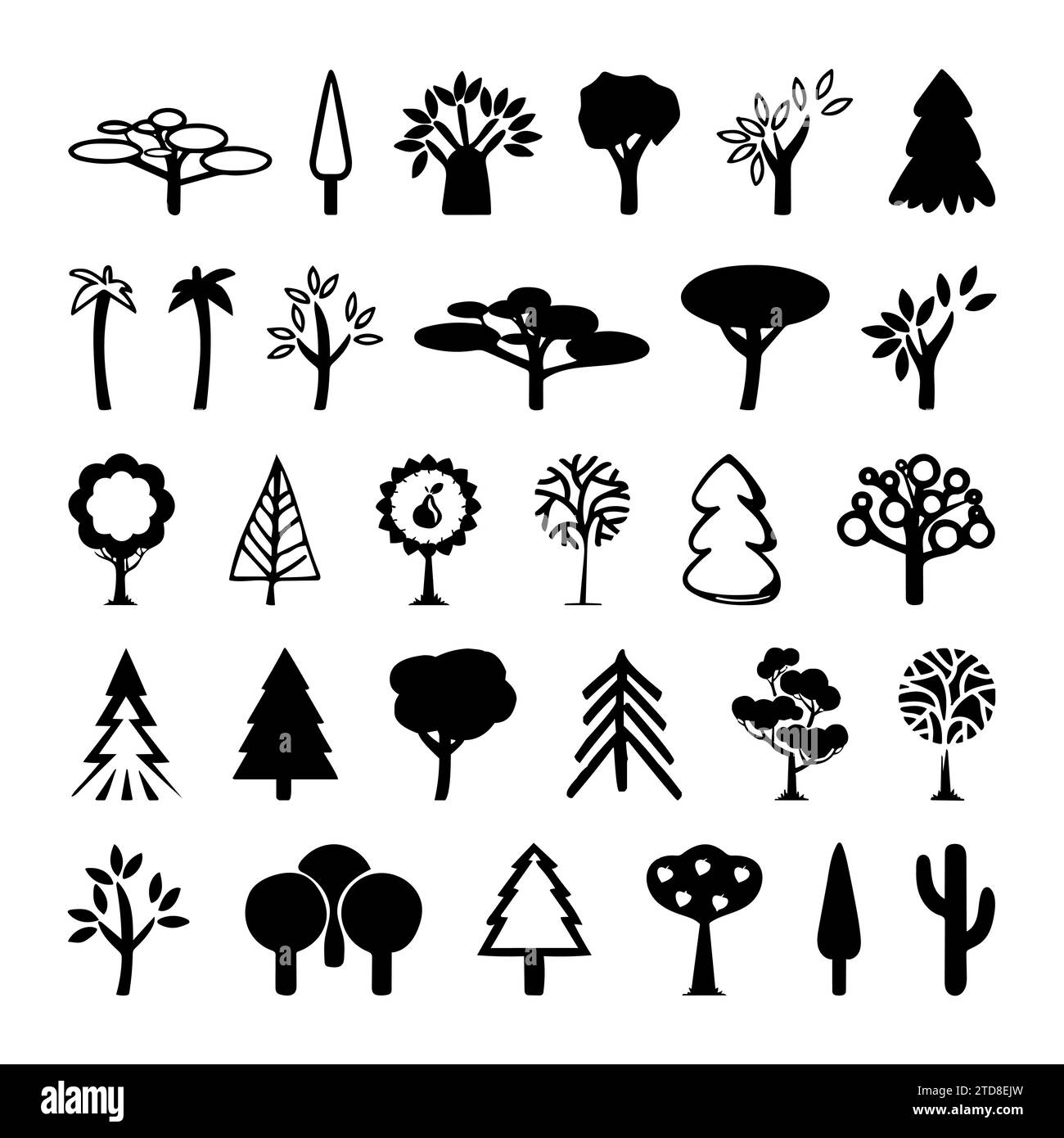 Evergreen hardwood tree Stock Vector Images - Alamy
