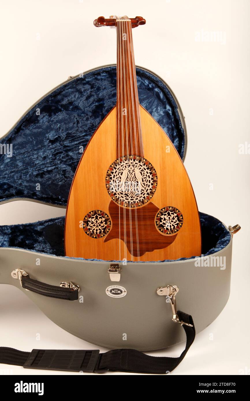Egyptian Oud. 11 string with highly decorated soundholes. String
