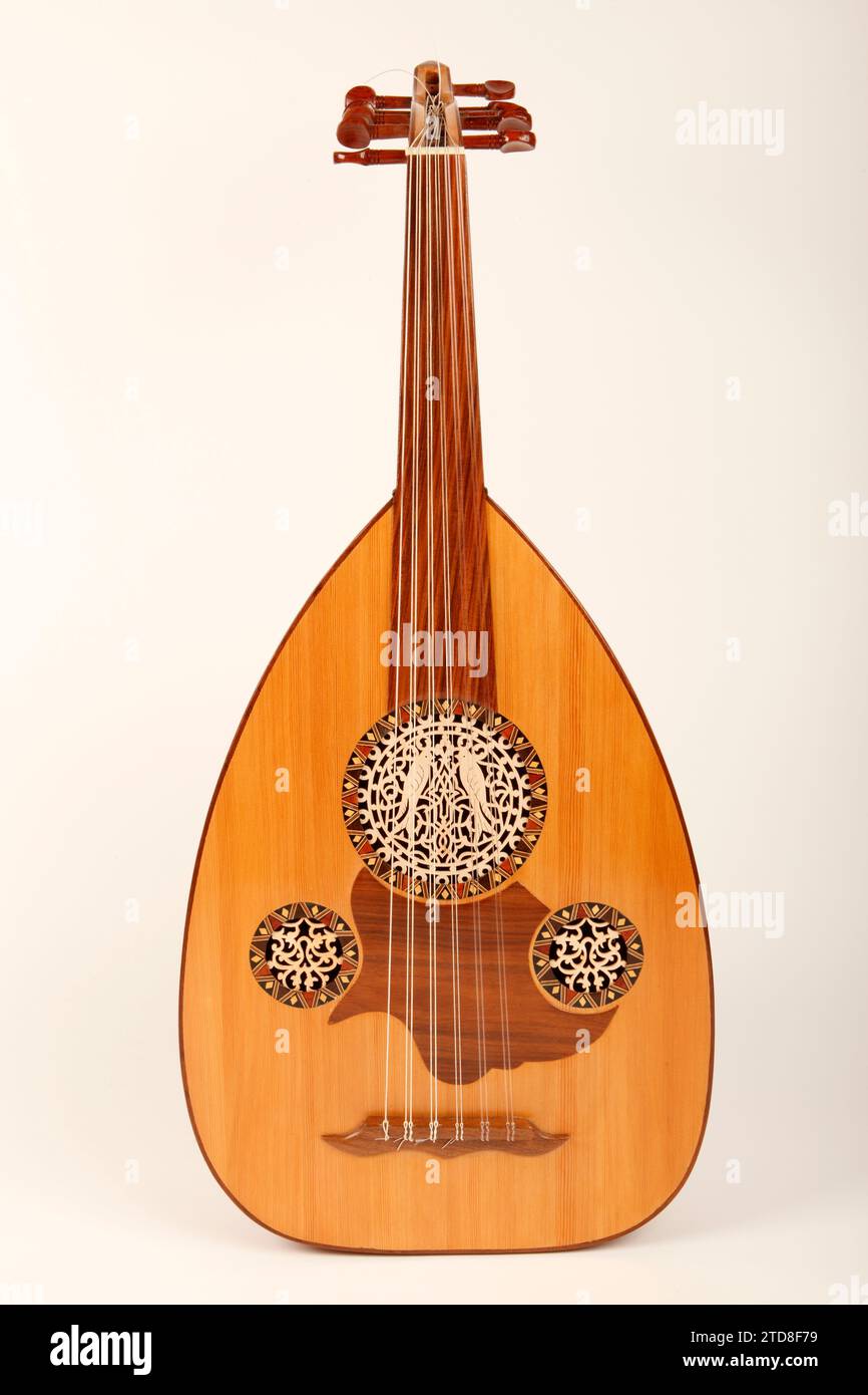 Egyptian Oud. 11 string with highly decorated soundholes. String