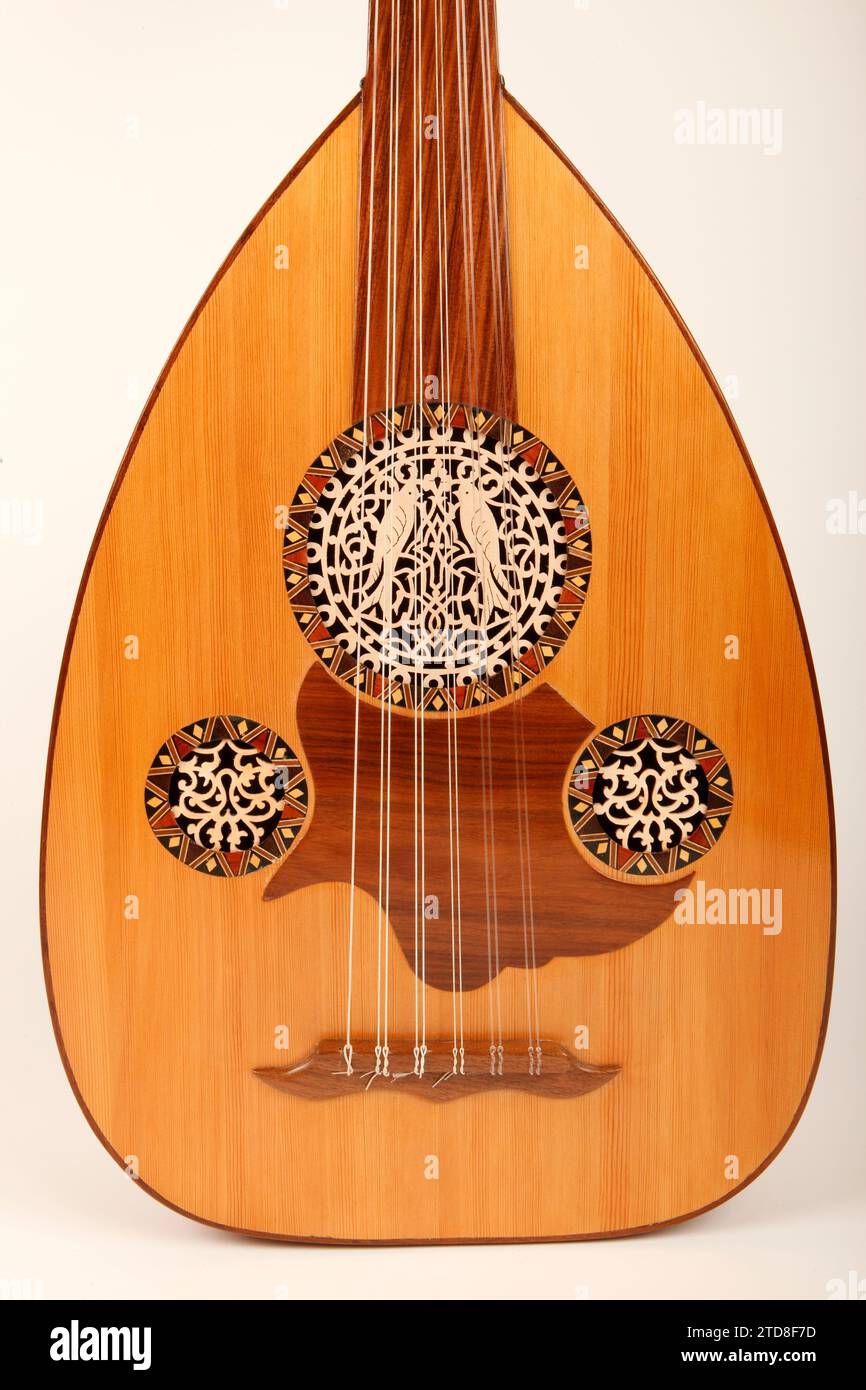 Egyptian Oud. 11 string with highly decorated soundholes. String