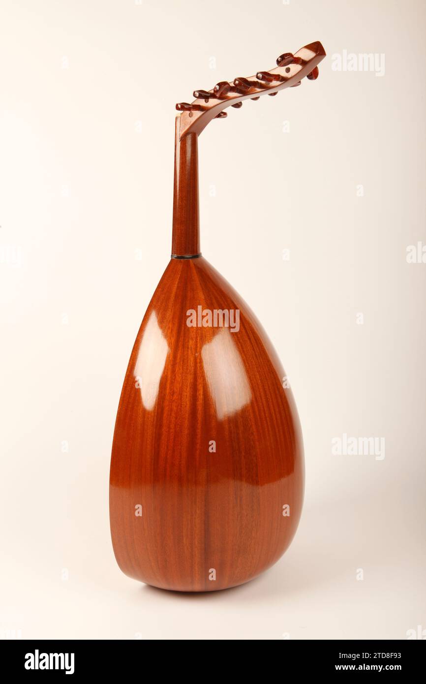 Egyptian Oud. 11 string with highly decorated soundholes. String