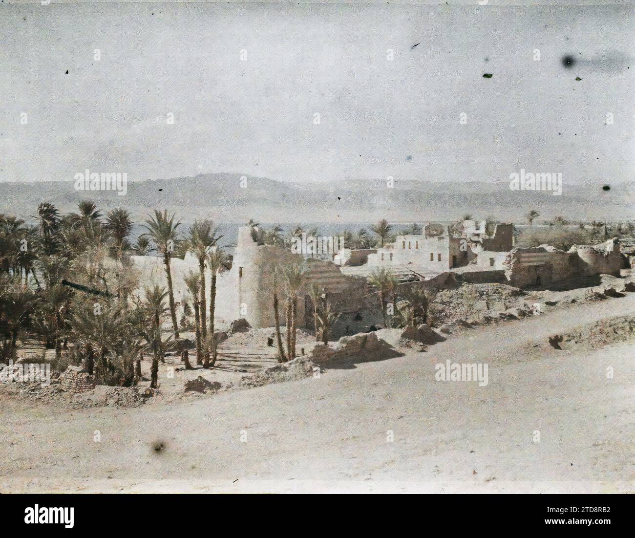 Aqaba, Arabia (current Jordan) The fort of the Ottoman garrison, Habitat, Architecture, Nature, Environment, Palm tree, Palm grove, Fortified architecture, Fortress, Vegetation, botany, Arabia, Akaba, The fort, Aqaba, 25/02/1918 - 25/02/1918, Castelnau, Paul, 1918 - Middle East, Egypte, Palestine, Chypre - Paul Castelnau (Photographic section of the army) - (9 January-6 October), Autochrome, photo, Glass, Autochrome, photo, Positive, Horizontal, Size 9 x 12 cm Stock Photo