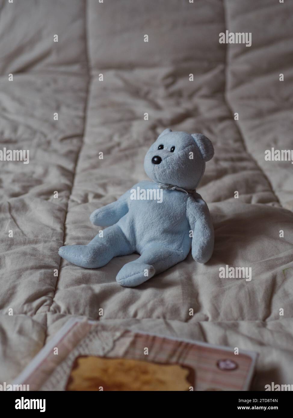 Vertical close up of a blue Teddy bear sitting on the bed and a vintage-inspired notebook in the foreground. Stock Photo