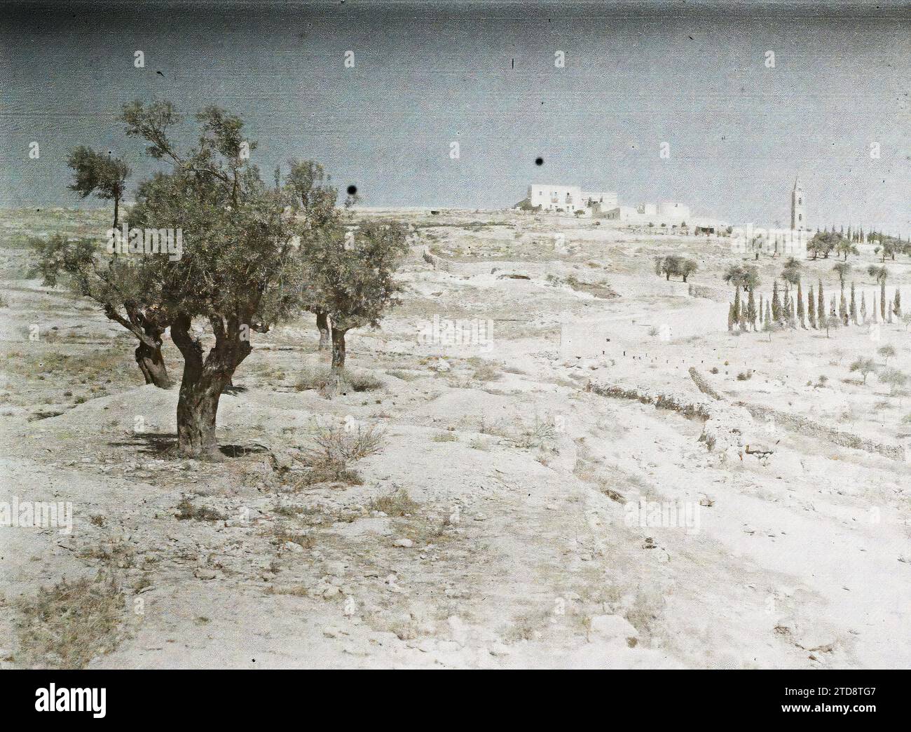 Palestine bethpage hires stock photography and images Alamy