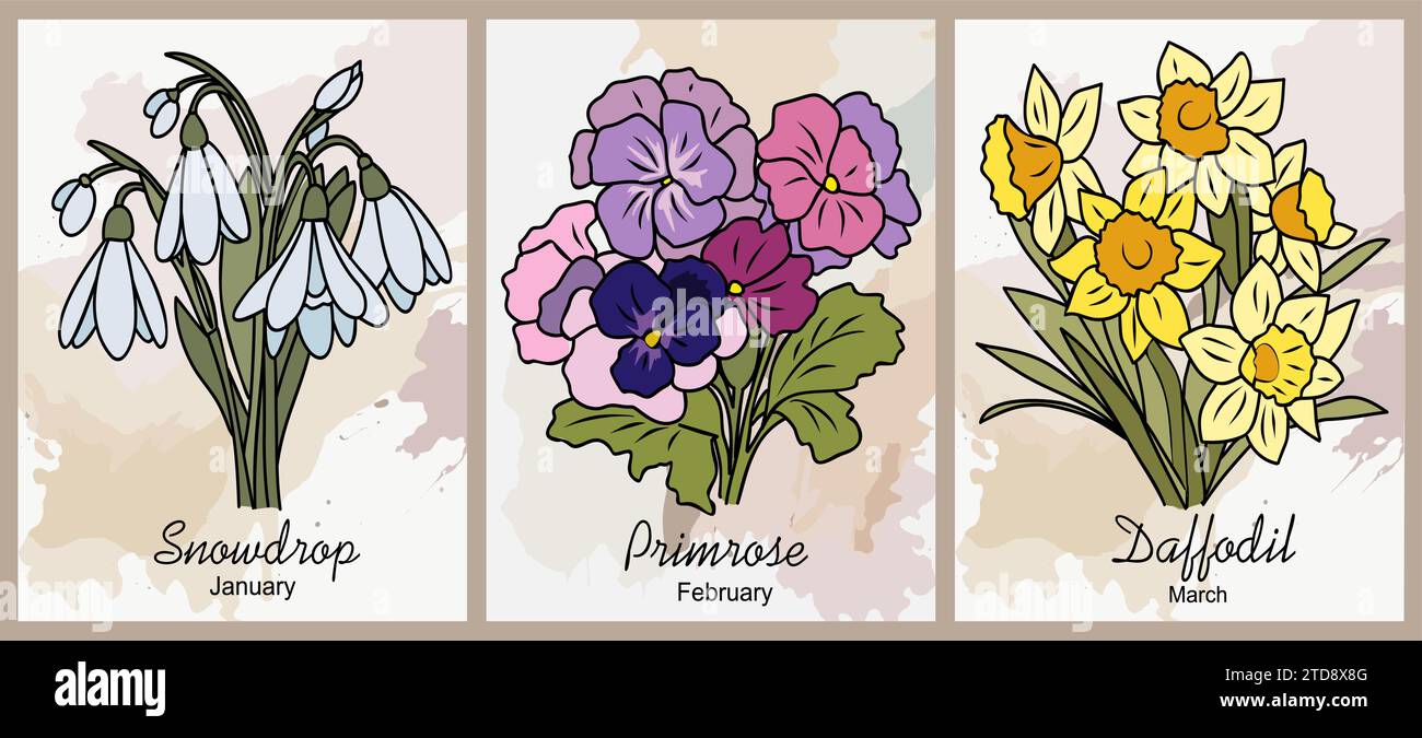 Set of birth flowers colorful vector illustration  Stock Vector