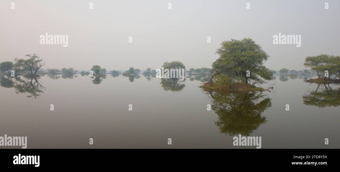 Scenic panorama of Keoladeo National Park, near Bharatpur, Rajasthan, India. A well-known bird sanctuary. Stock Photo