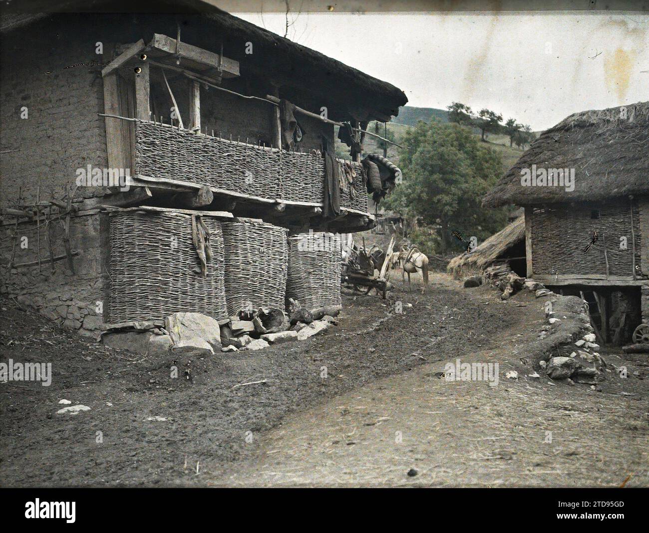 Current openica hi-res stock photography and images - Alamy