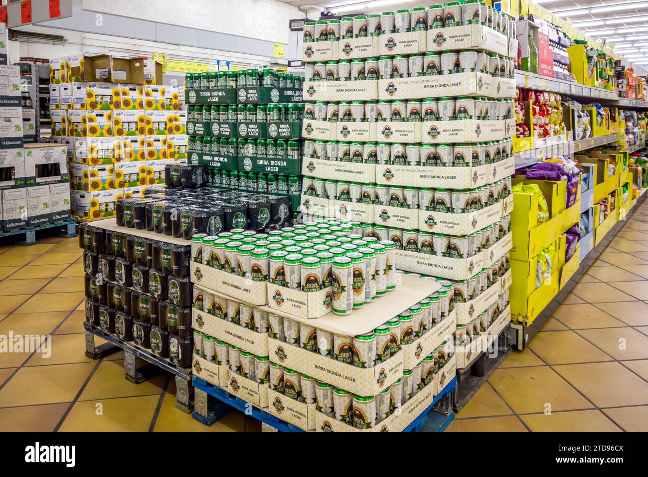 Italy - December 15, 2023: Cans of blonde lager beer of various types in boxes of various brands stacked on pallets for sale in Italian supermarket Stock Photo