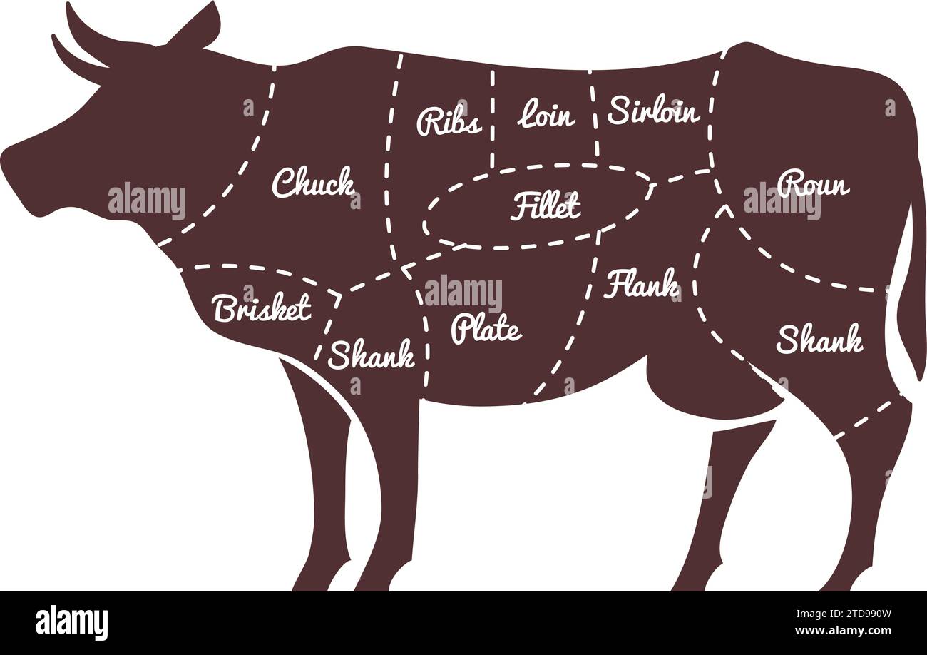 Beef diagram. Meat butcher guide. Chef chart isolated on white