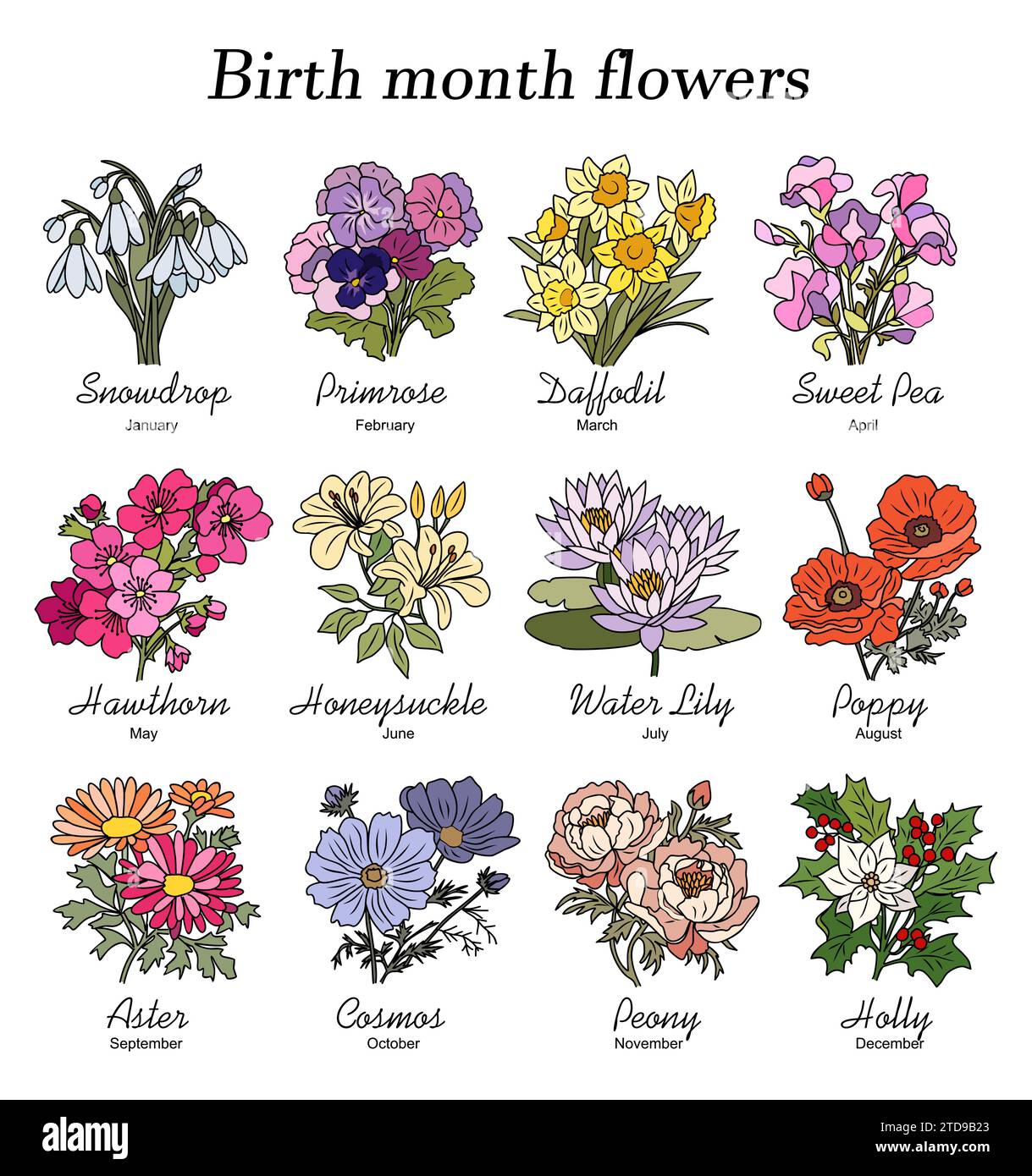 Set of birth month flowers colorful vector art Stock Vector Image & Art ...