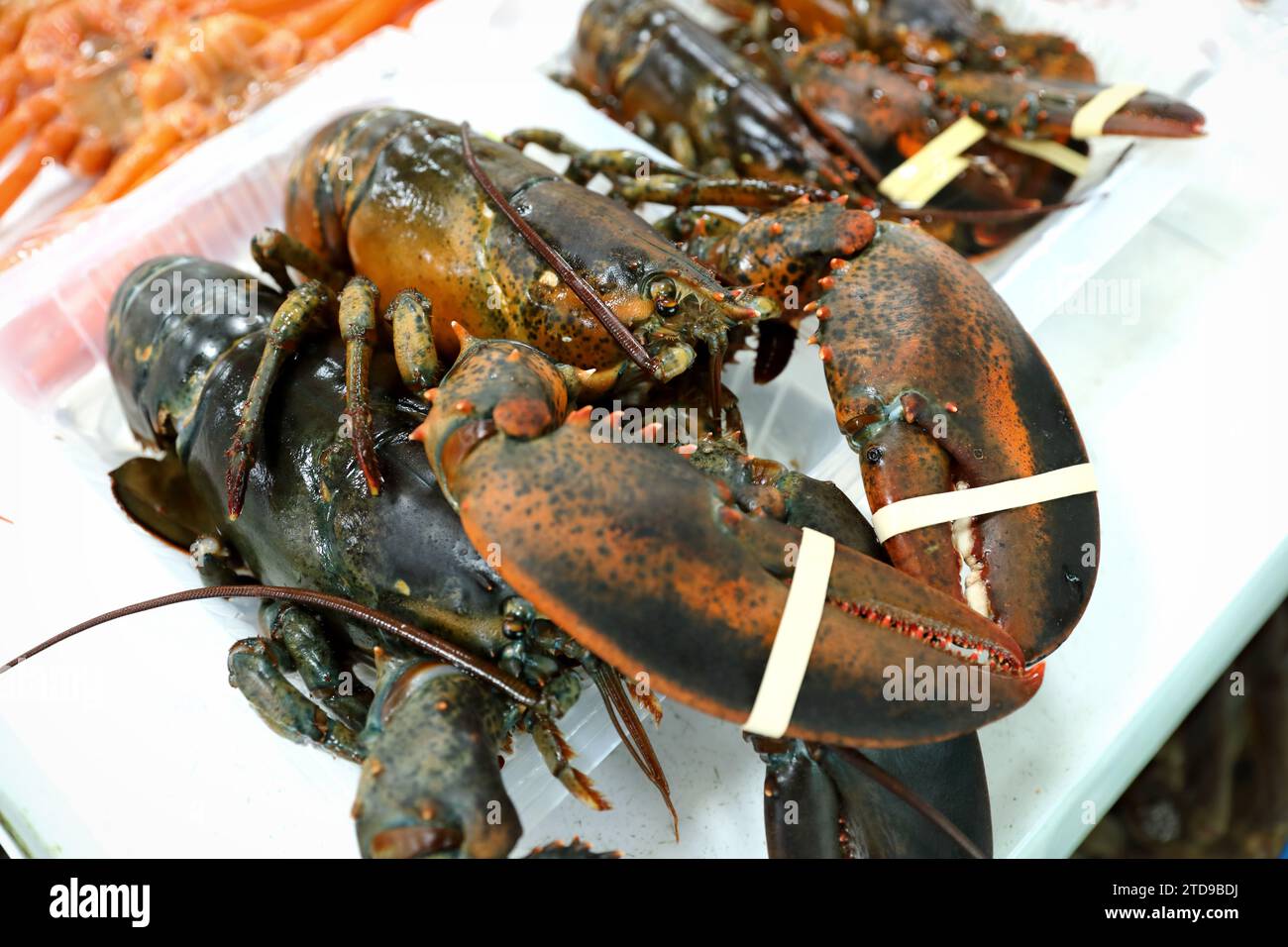 Seafood at the fish market in Korea Stock Photo