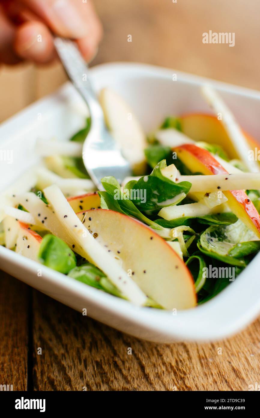 Bowl with a home made salad with field salad, kohlrabi, apple and a minty poppy seed dressing Stock Photo