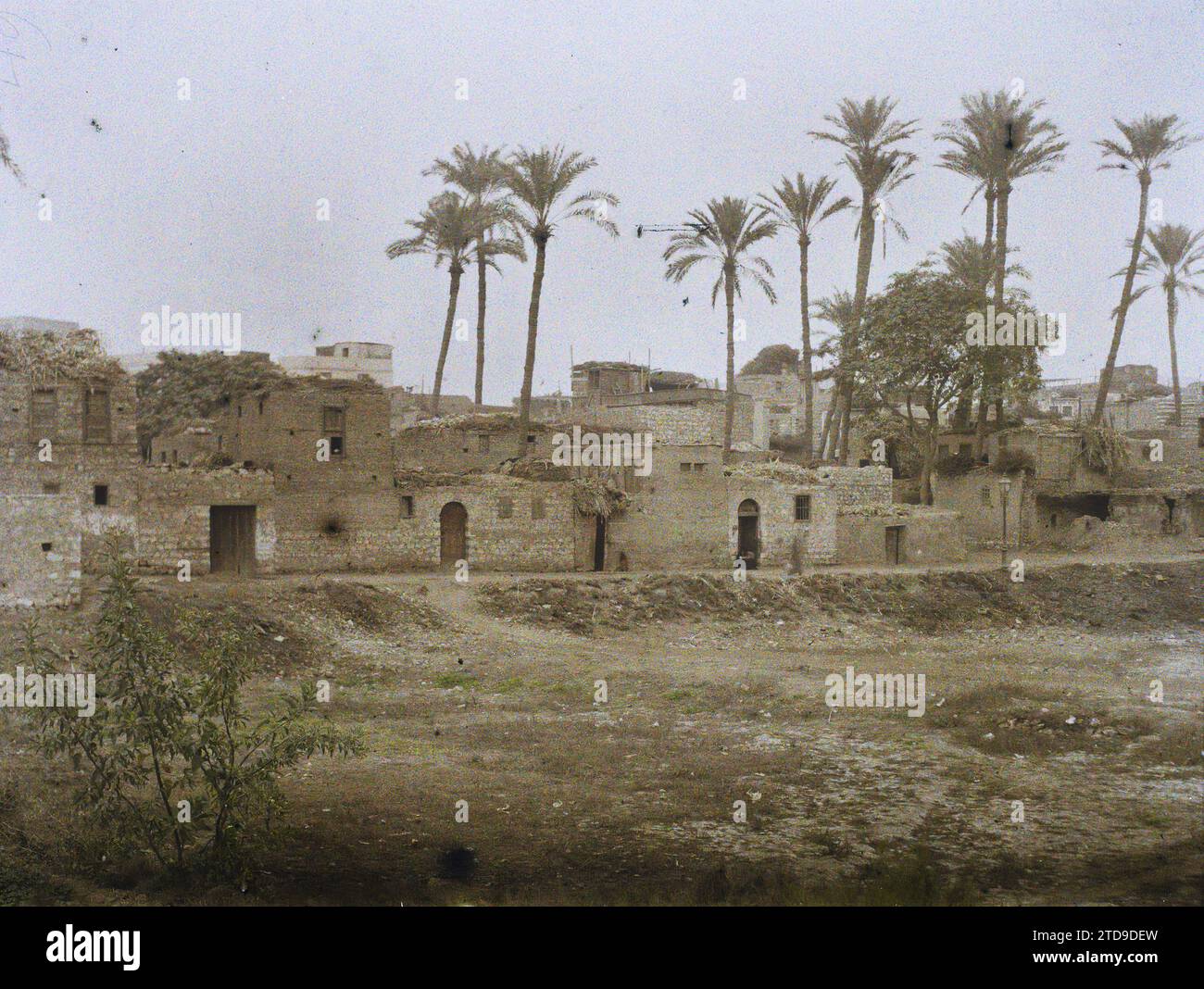 Giza, Egypt, Africa Panorama of the village, Habitat, Architecture ...