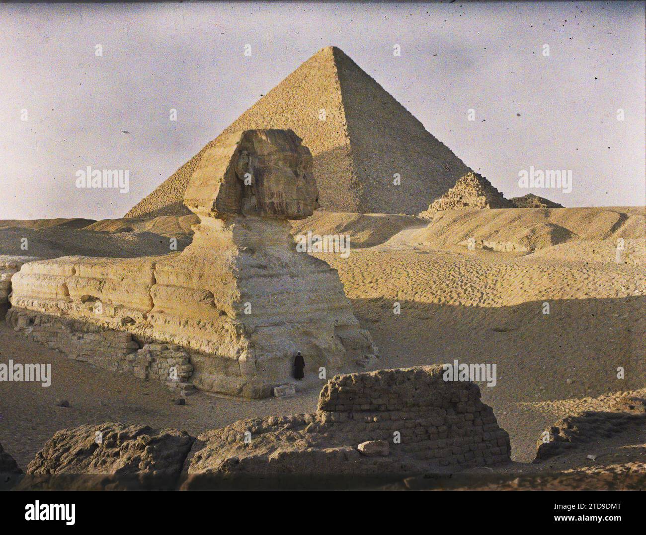 Giza, Egypt, Africa The Sphinx and the Cheops Pyramid, Habitat