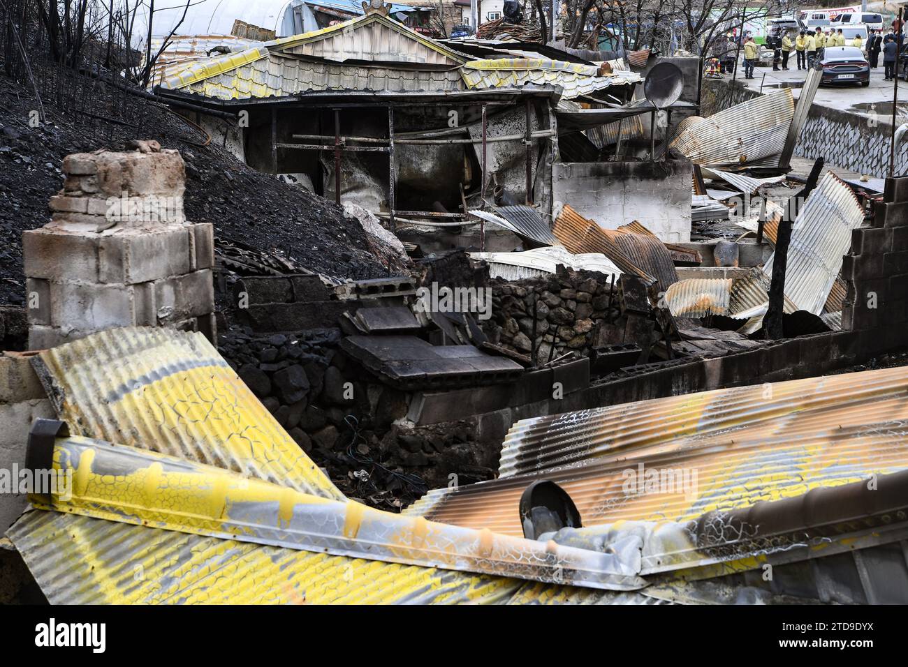 A house burned down in a forest fire in South Korea in early 2022 Stock