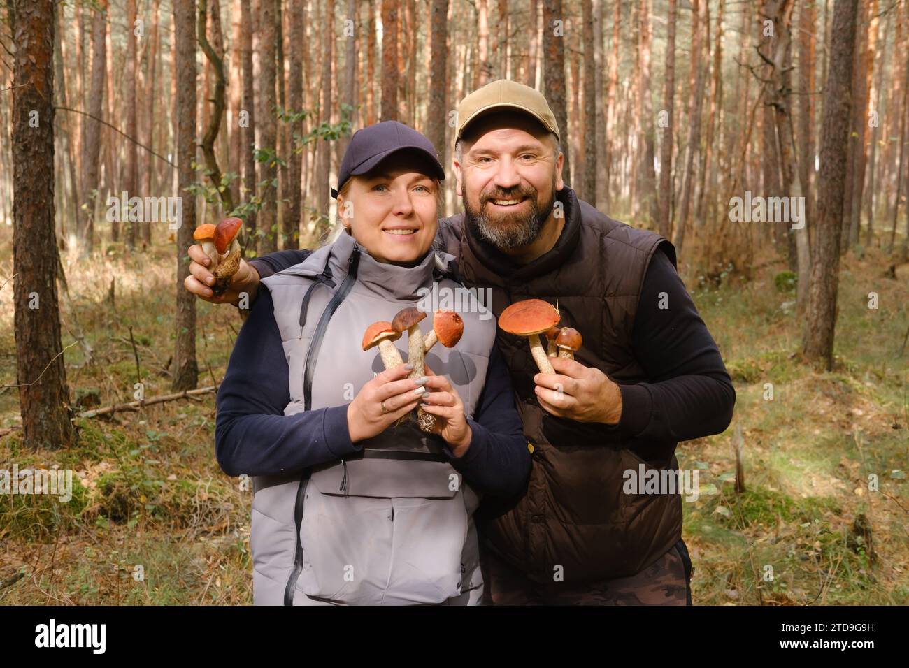 Two mushroom pickers in the forest are holding aspen trees in their hands. Mushrooms in the forest. Mushroom picking. Stock Photo