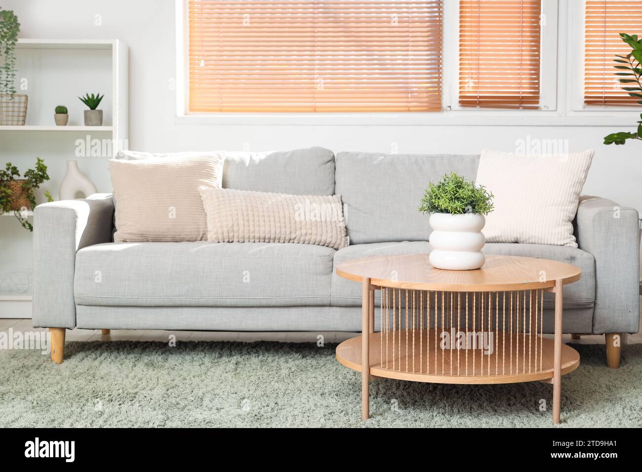 Interior of light living room with grey sofa and coffee table Stock ...