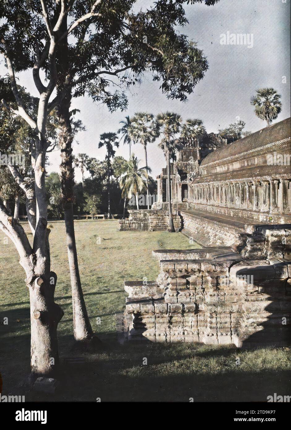 Angkor, Cambodia, Indochina A segment of the surrounding gallery forming the base of the temple-mountain; in the background, the northwest corner pavilion, Religion, Art, Habitat, Architecture, Buddhism, Temple, Hinduism, Sculpture, Gallery, Religious architecture, Cambodia, Angkor-Wat, Massif Central, west facade, Angkor Vat, 01/01/1921 - 31/12/1921, Busy, Léon, Léon Busy photographer en Indochine, Autochrome, photo, Glass, Autochrome, photo, Positive, Vertical Stock Photo