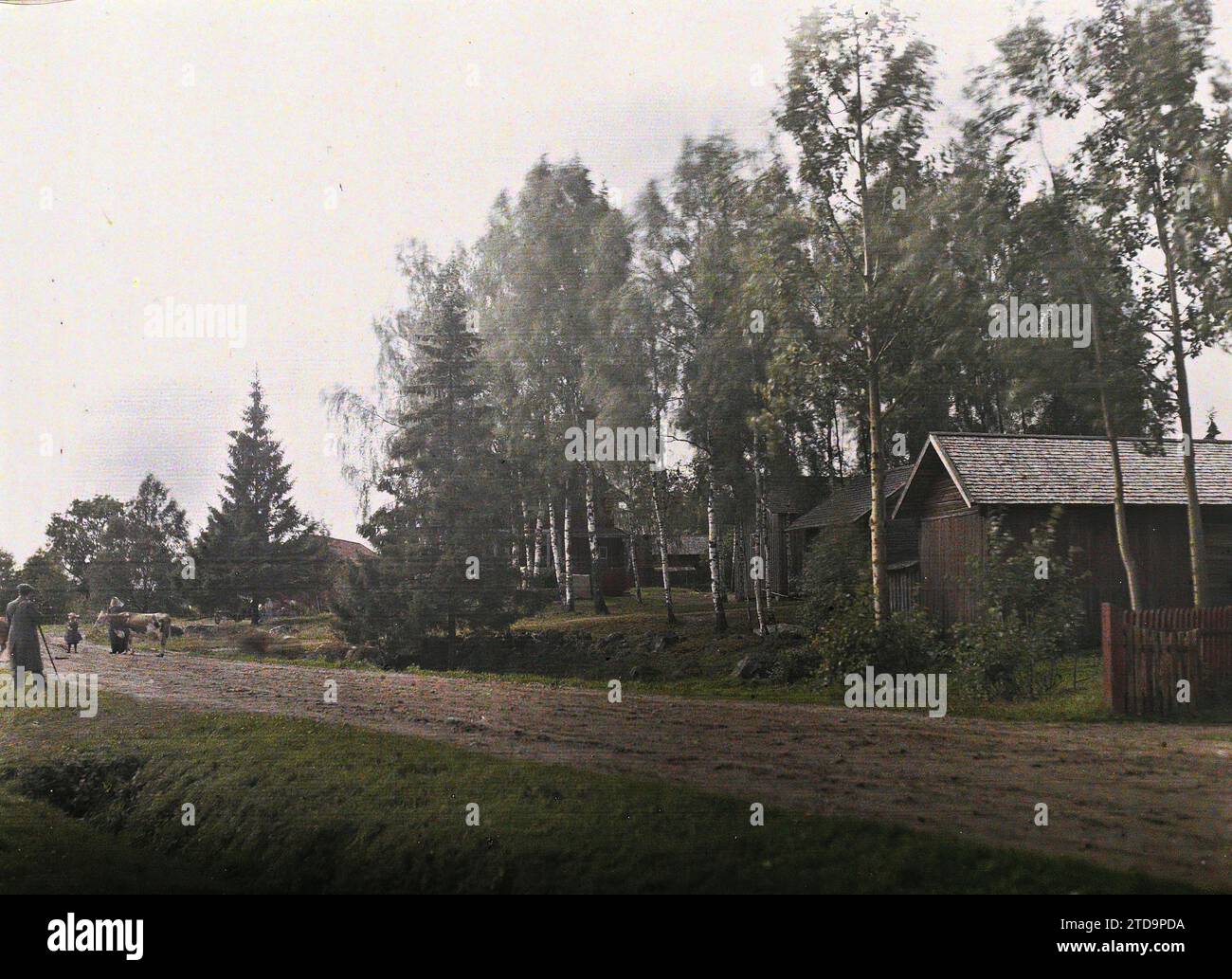 Between Falun and Säter, Sweden Auguste Léon photographing a scene of rural life, Nature, Environment, Human beings, Animal, Habitat, Architecture, Landscape, Woman, Real animal, Child, Dwelling, Road from Falun to Loeter, Dalarna, 26/08/1910 - 26/08/1910, Wilse, Anders Beer, Autochrome, photo, Glass, Autochrome, photo, Positive, Horizontal, Size 9 x 12 cm Stock Photo