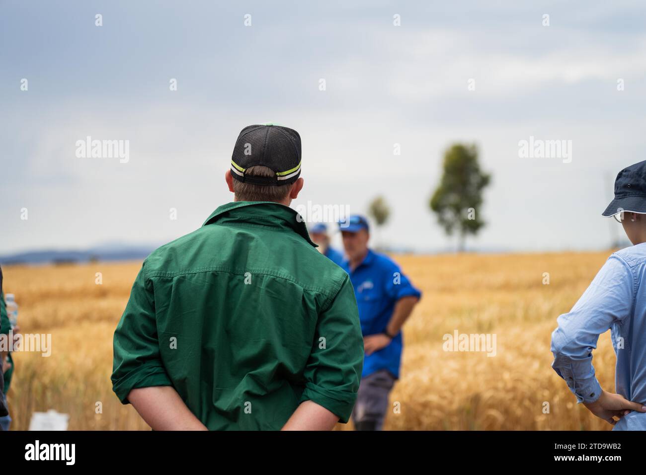Farming group of farmers learning about crop health and farmers mental ...