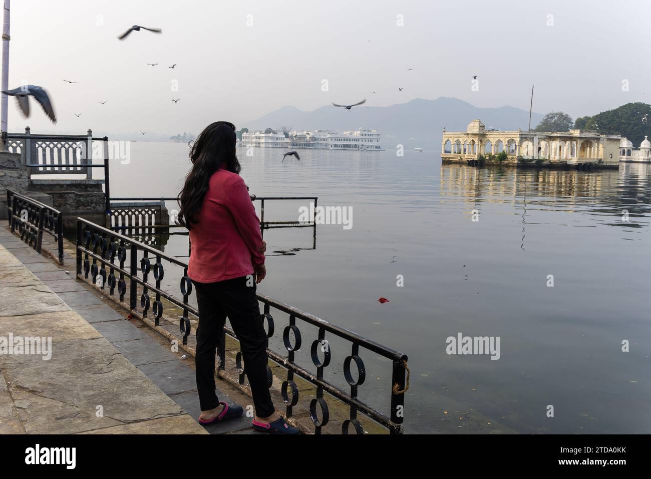 young girl looking at mountain lake city landscape with blurred pigeons at morning image is taken at Jagdish Temple udaipur rajasthan india. Stock Photo