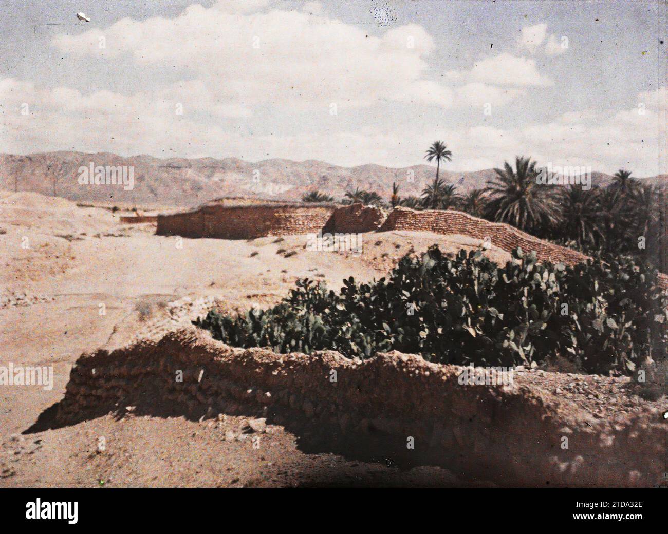 Algérie - TAGHIT - Le Marché - Ed. J. Geiser 25