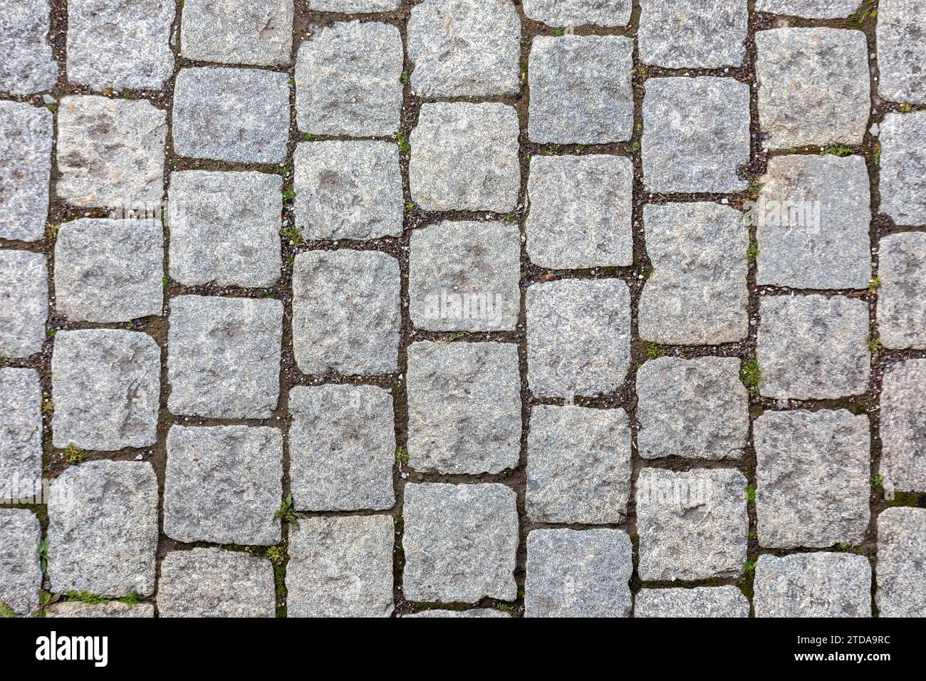 Old World Charm: Cobblestone Pavement Background Texture Stock Photo ...
