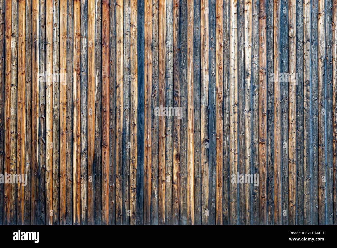 Grey barn wooden wall planking texture. hardwood dark weathered timber surface. old solid wood slats rustic shabby gray background. grunge faded wood Stock Photo