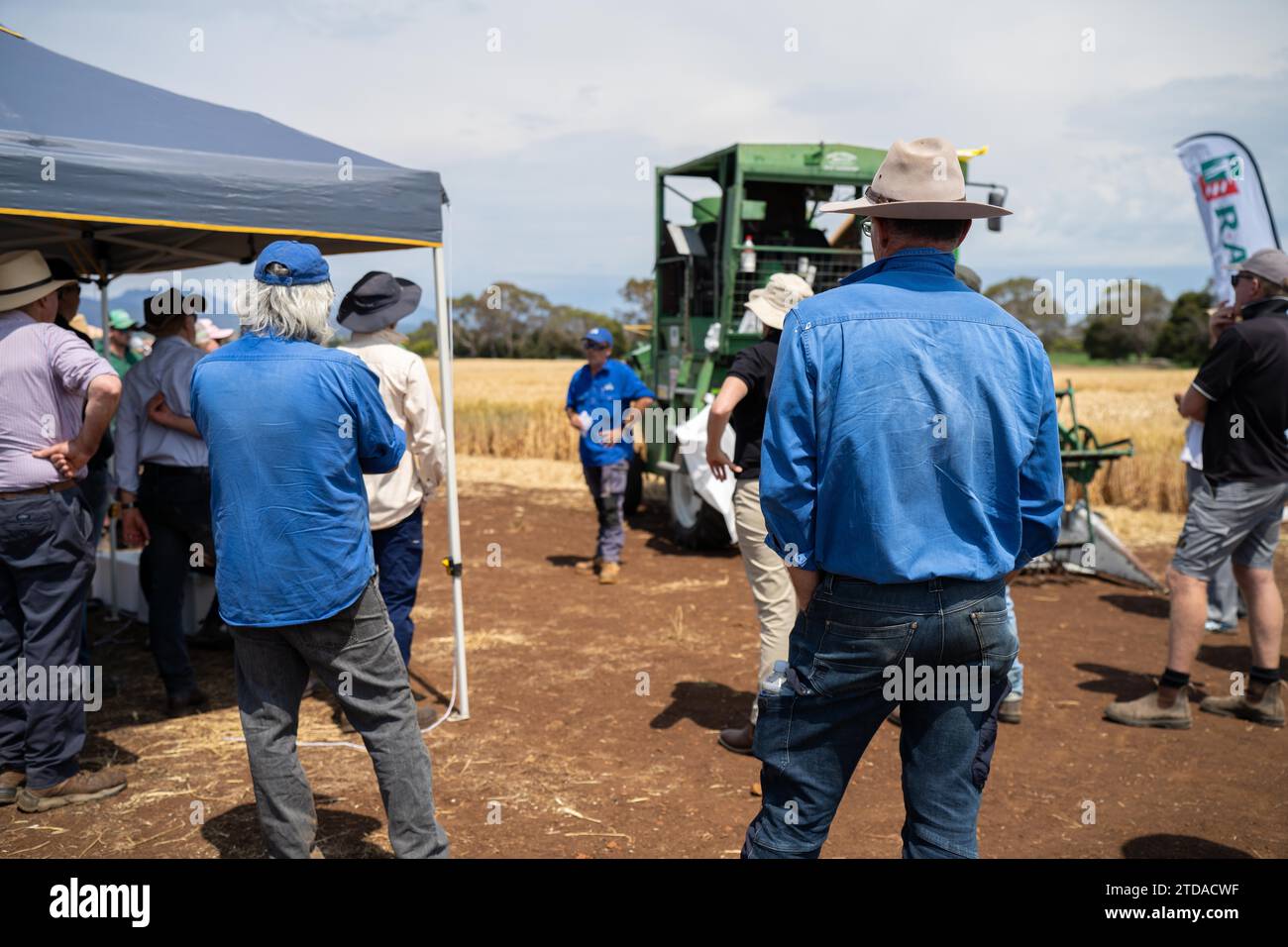 agricultural field day with a group of farmer growing wheat and barley