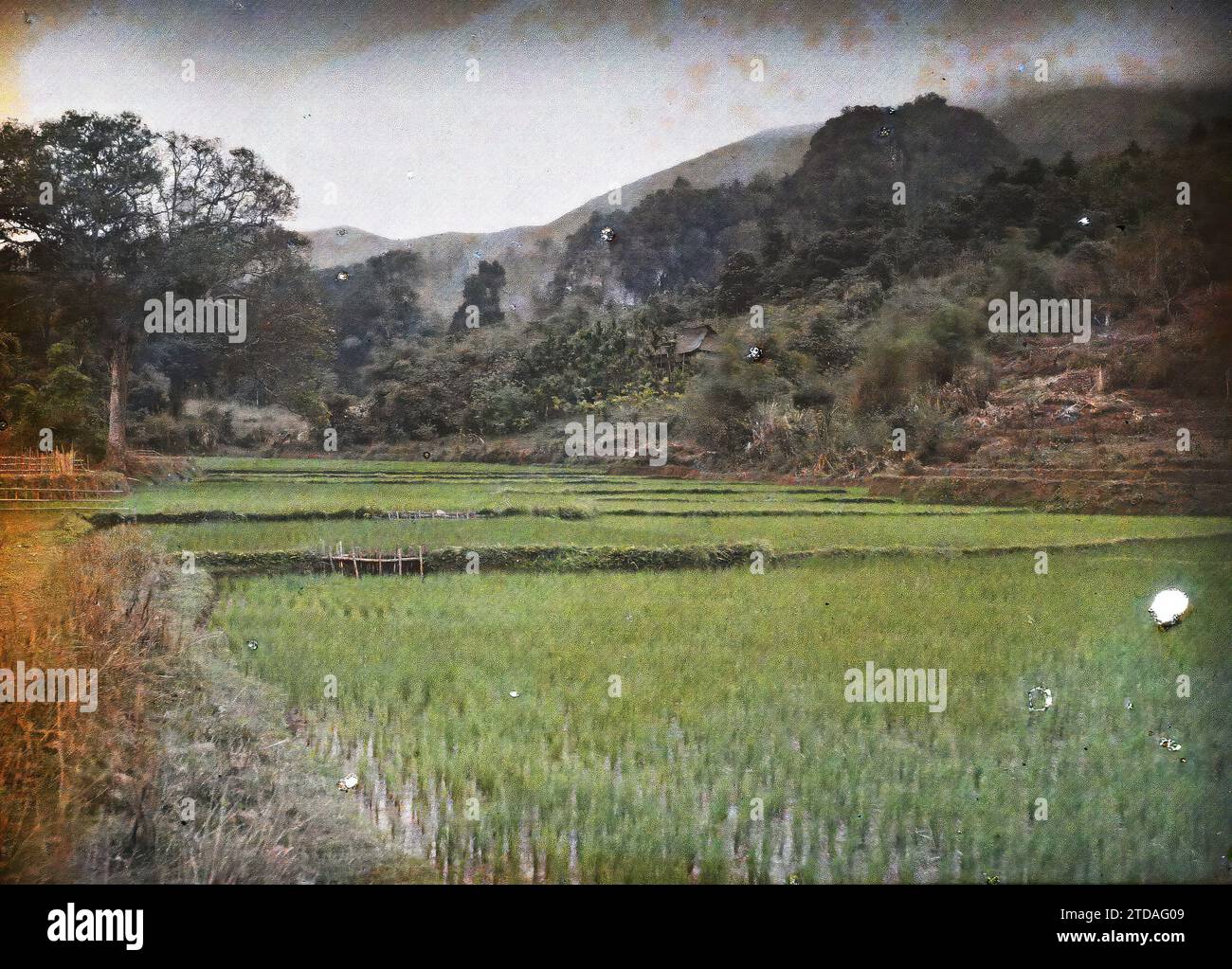 Province of Hoa-binh, Tonkin, Indochina A rice field at the foot of the rocks, on which we can see a Mnong hut, Nature, Environment, Economic activity, Society, Habitat, Architecture, Landscape, Mount, mountain, Rice field, Agriculture, breeding, Minority ethnic, Housing, Indochina, Tonkin, From Hanoi to Chobõ, Black River, Between Hanoi to Hoabinh, Mnong Case in the rocks, Hoa-Binh [région], 06/03/1916 - 08/03/1916, Busy, Léon, Léon Busy photographer en Indochine, Autochrome, photo, Glass, Autochrome, photo, Positive, Horizontal, Size 9 x 12 cm Stock Photo
