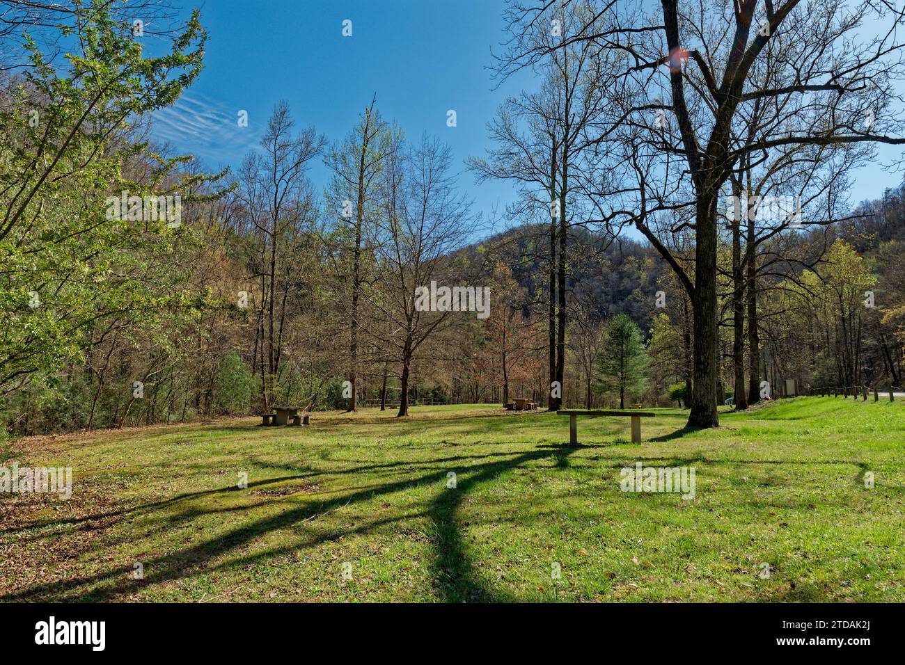 A park area with wooden picnic tables in between the trees and grass alongside the road with the Tennessee mountains in the background on a bright sun Stock Photo