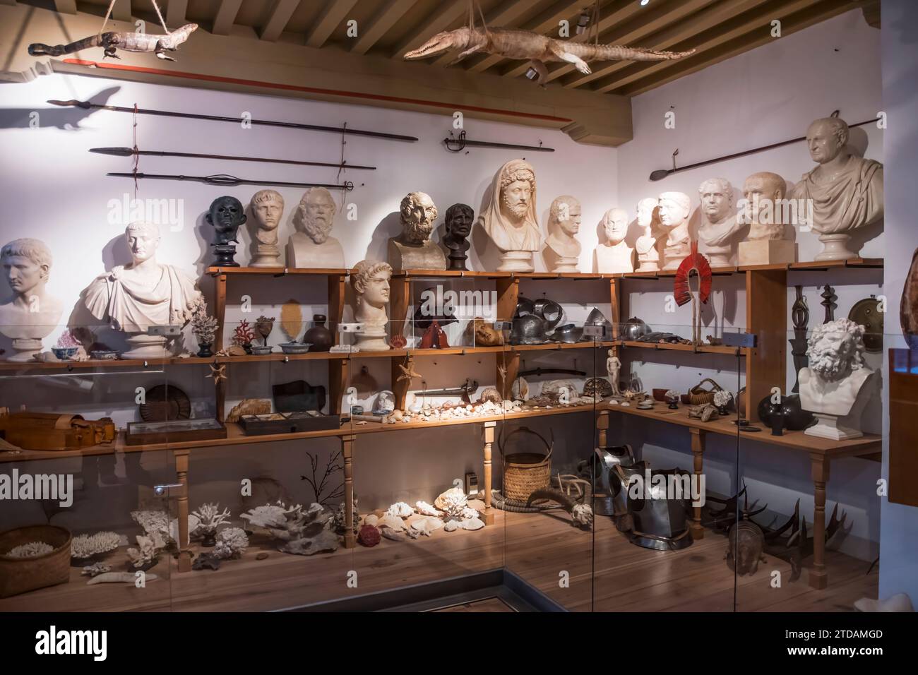 Rembrandt's collection of curiosities displayed in a room at the Rembrandt House museum, Amsterdam. Stock Photo