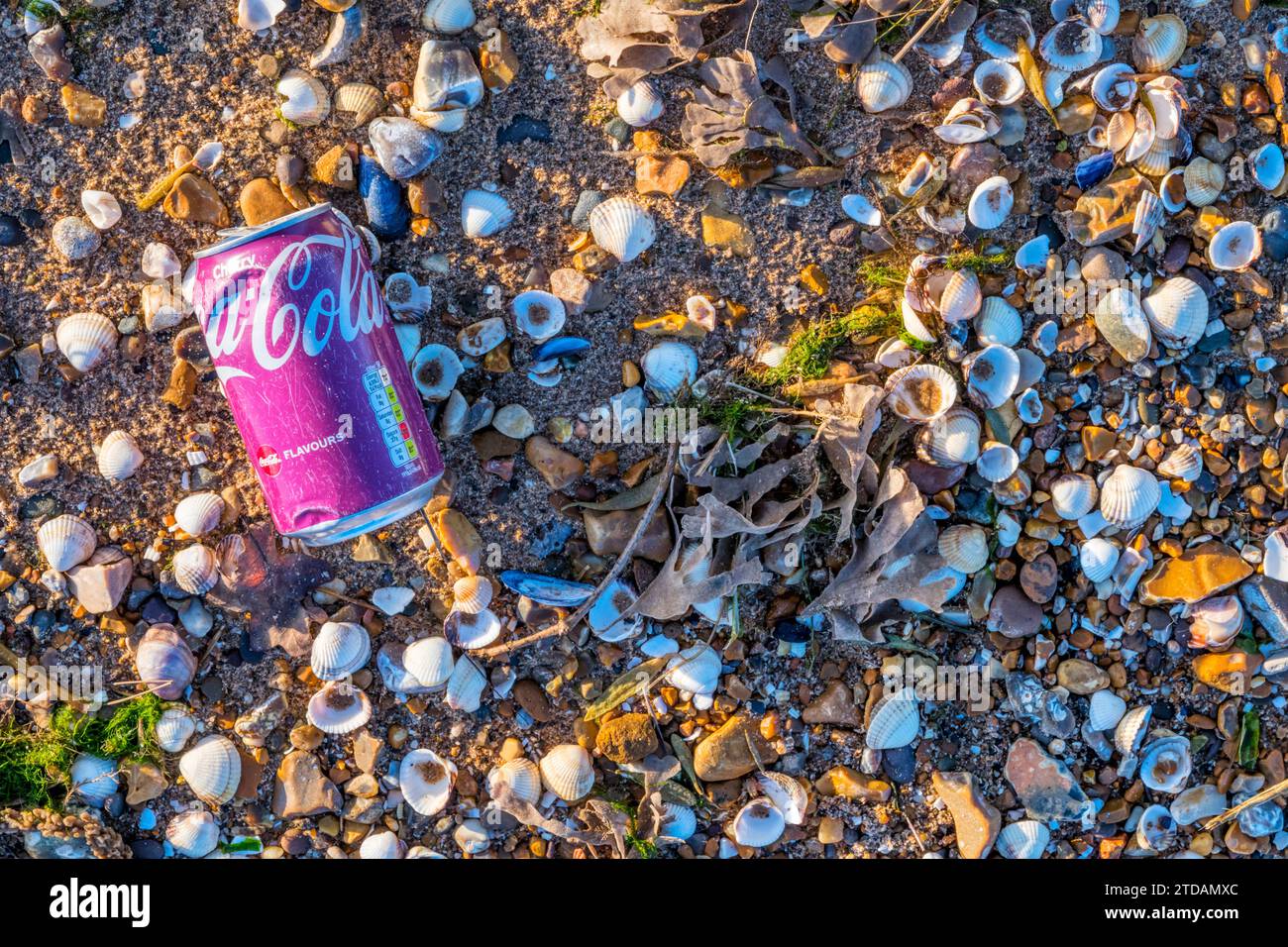 An old, faded Coca-Cola can washed up on a shingle beach. Stock Photo