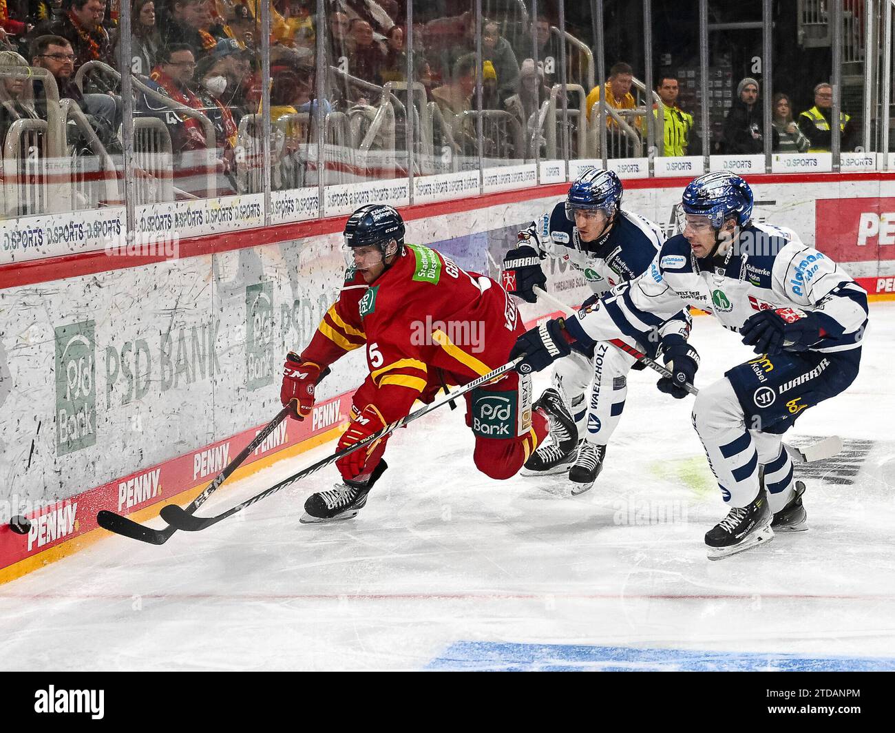 Balazs Seboek (Iserlohn Roosters, #14) versucht Nicolas Geitner (Duesseldorfer EG, #05) zu stoeren. Duesseldorfer EG vs. Iserlohn Roosters, Eishockey, Penny DEL, 28. Spieltag, Saison 2023/2024, 17.12.2023 Foto: Eibner-Pressefoto/Thomas Haesler Stock Photo