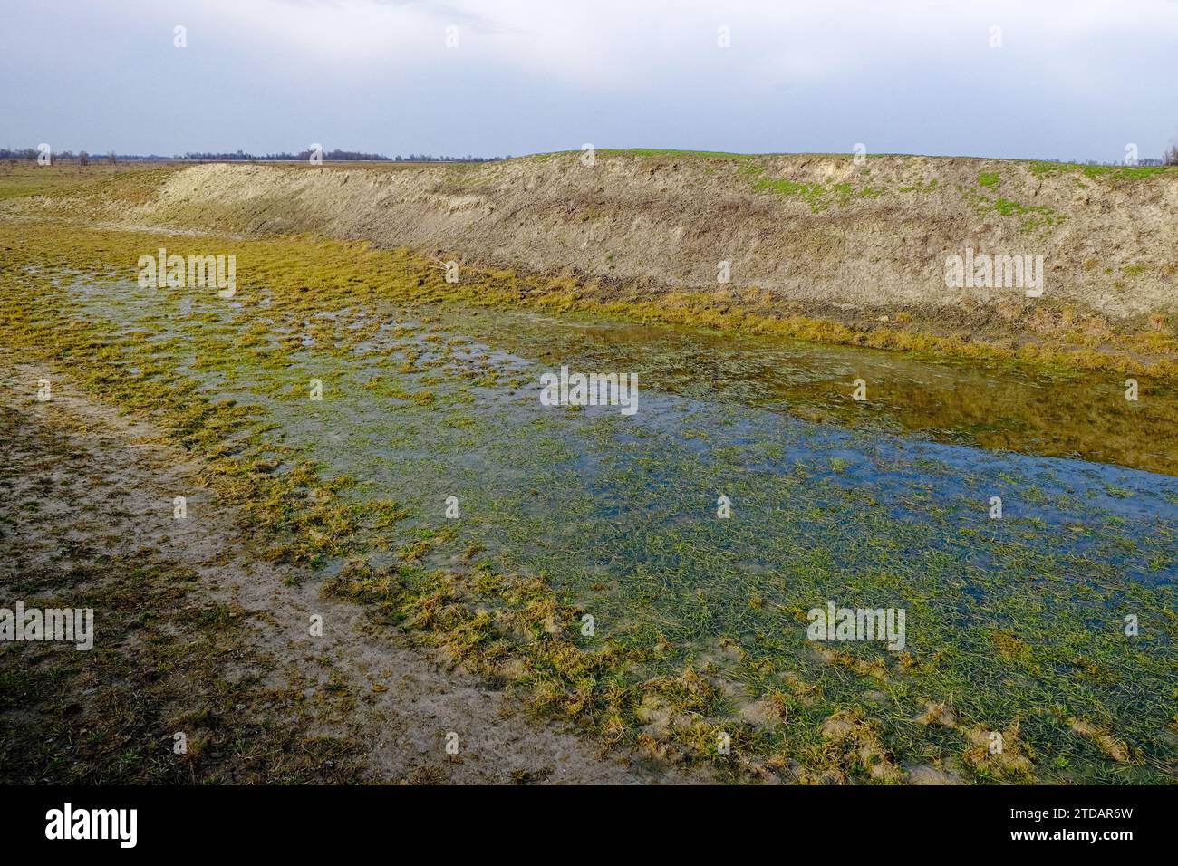 A shallow body of water, its surface covered in green algae, is depicted, with a dirt embankment and a blue sky in the background. Stock Photo