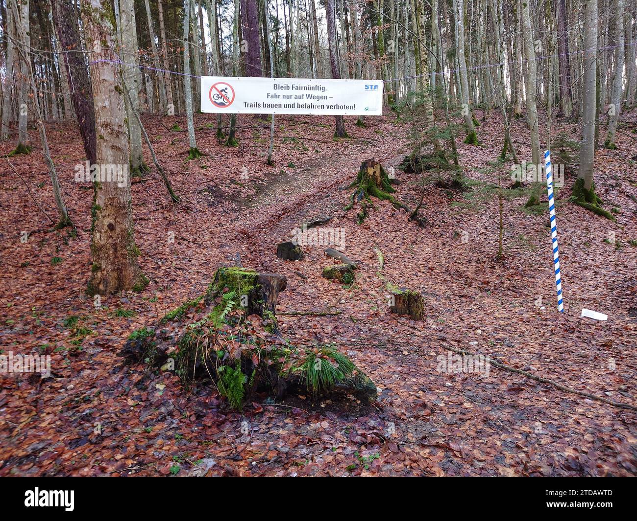 Gauting, Bavaria, Germany. 17th Dec, 2023. Banners hanging at the Gauting mountain bike trails near Munich, Germany. The county of Starnberg recently closed the trails, some of which have been there for two decades, hanging signs confirming the ban, and informing people by the newspapers that police will be patrolling the trails and issuing tickets. Critics reiterate that the trails have been there for decades in some cases and the rules being applied by Bavaria that state all trails must be accessible to foot traffic are archaic and incorrectly applied here. Critics also point out that som Stock Photo