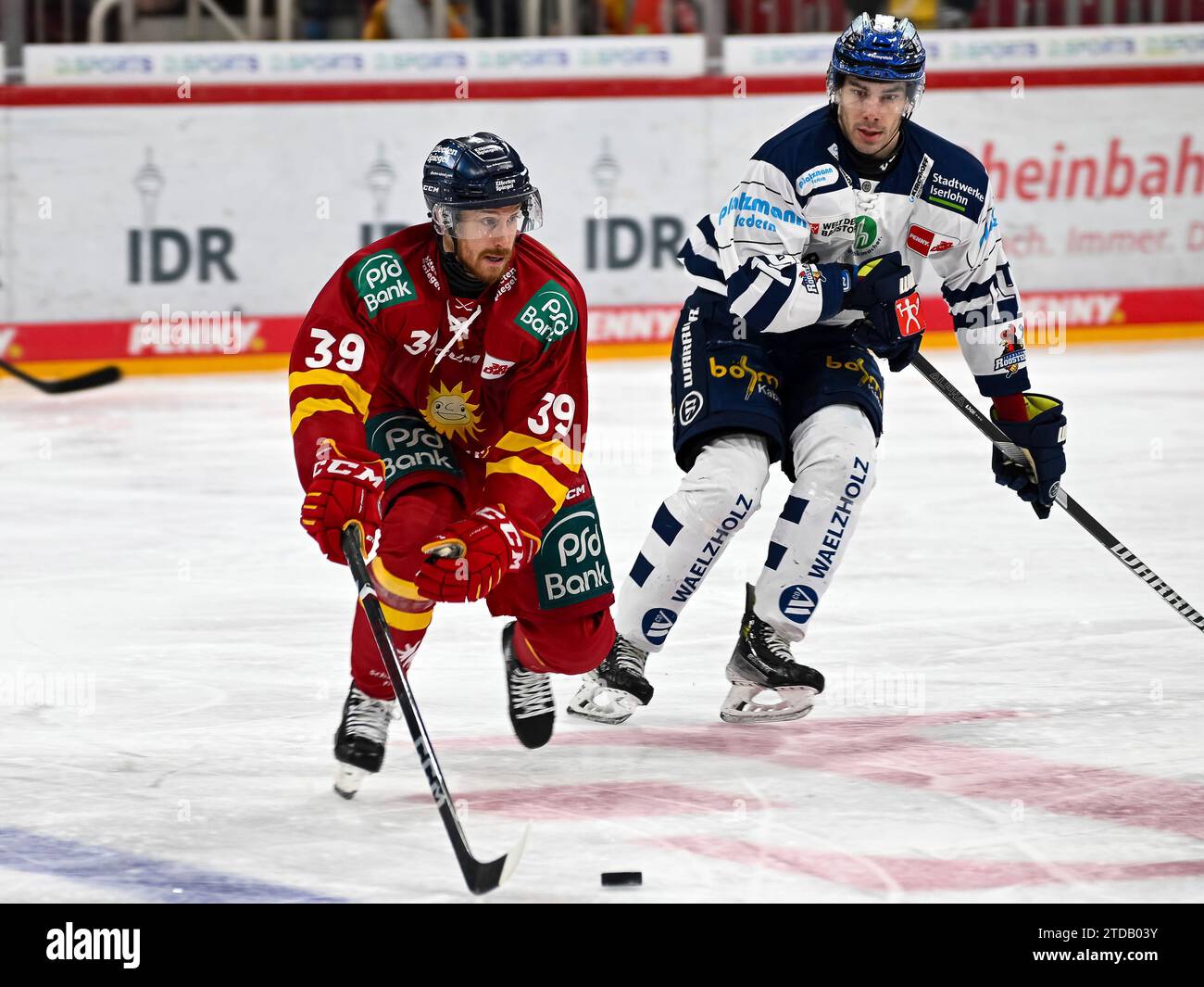 Balazs Seboek (Iserlohn Roosters, #14) kann Victor Svensson (Duesseldorfer EG, #39) nicht folgen. Duesseldorfer EG vs. Iserlohn Roosters, Eishockey, Penny DEL, 28. Spieltag, Saison 2023/2024, 17.12.2023 Foto: Eibner-Pressefoto/Thomas Haesler Stock Photo