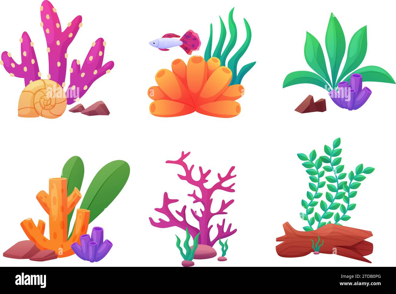 Aquatic plants seaweed algae illustration hires stock photography and