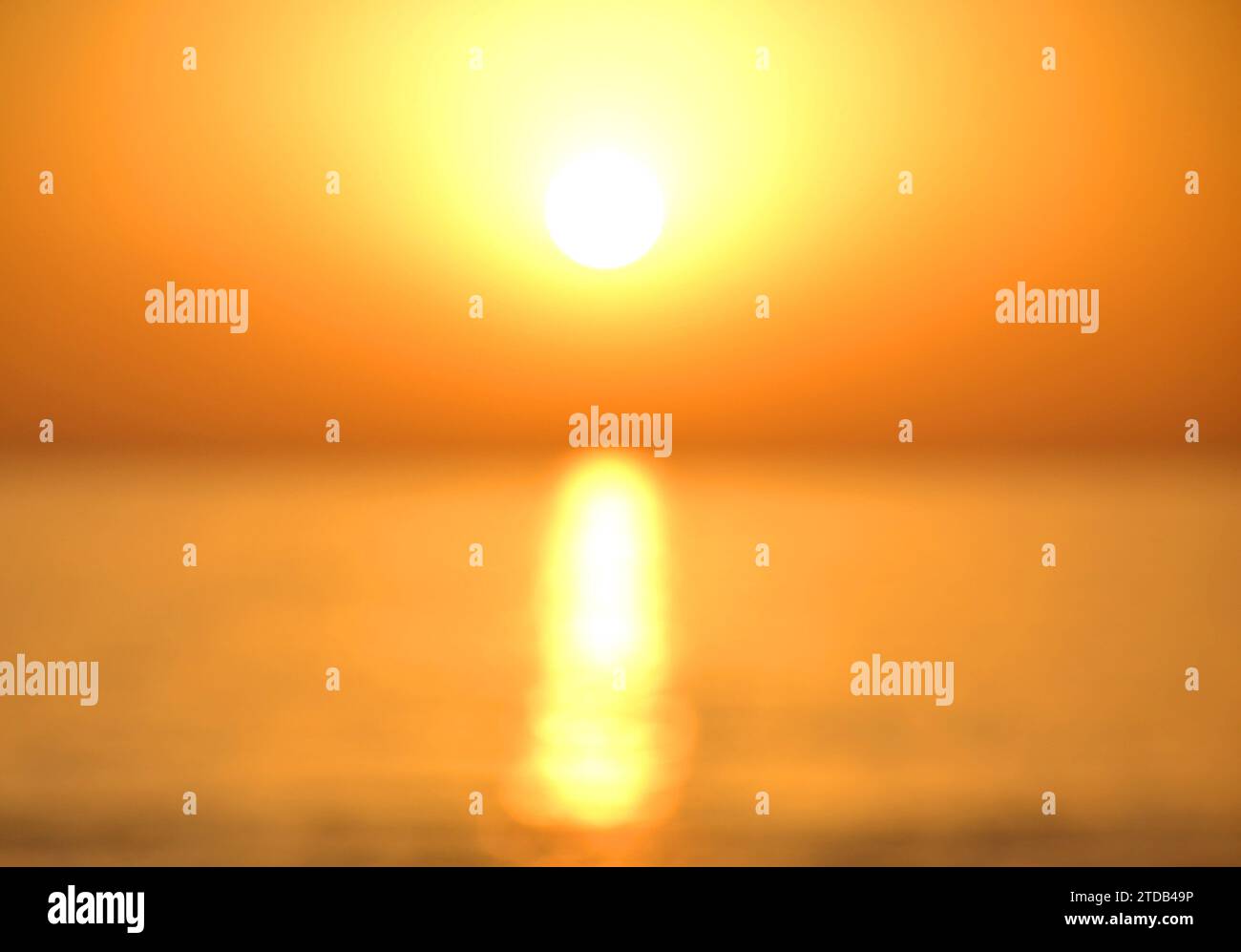 Dawn at sea. Sunrise on the sea. Flying birds. Blurred background. Stock Photo