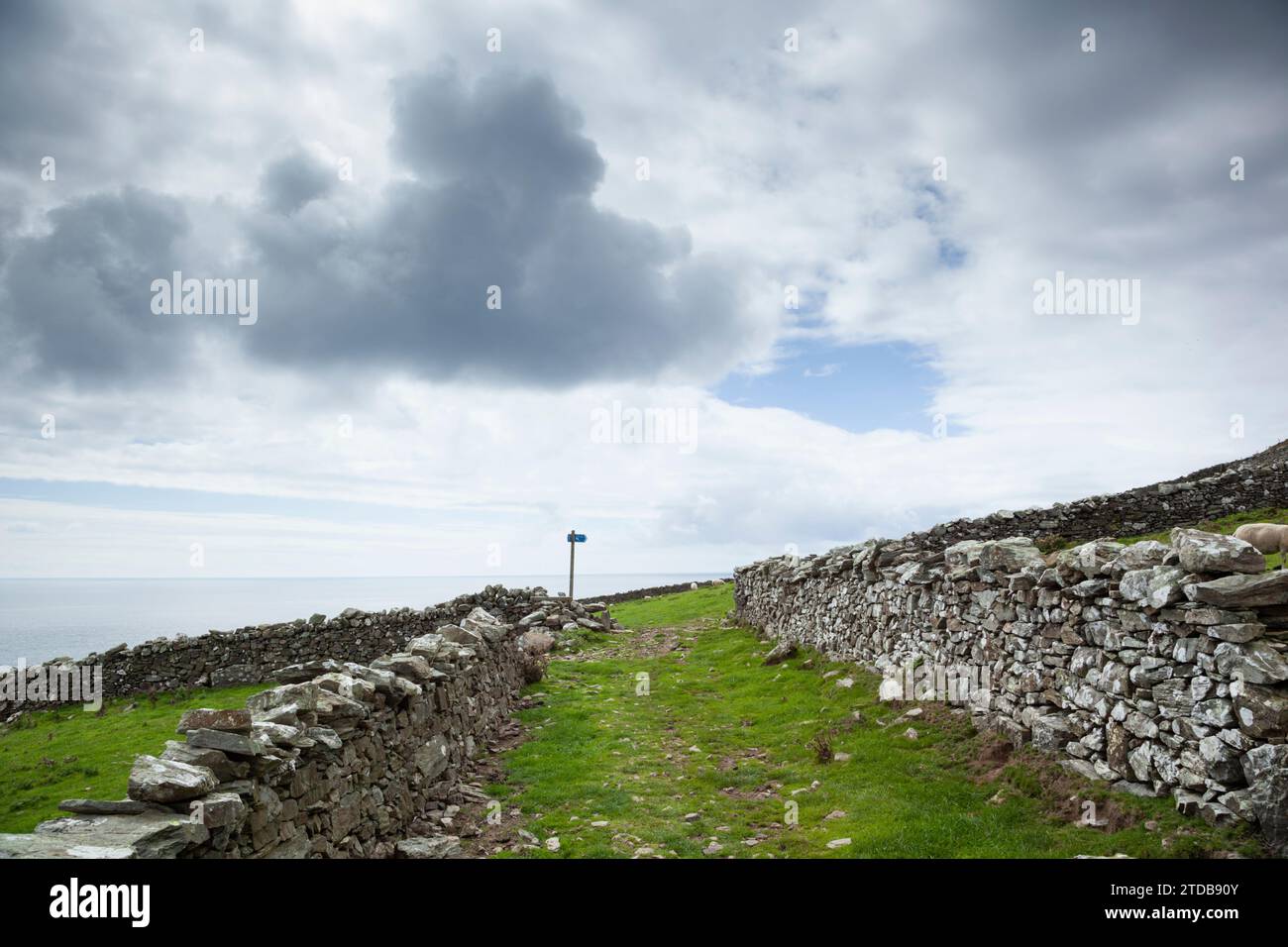 Footpath and dry stone walls. Isle of Man, UK. Stock Photo