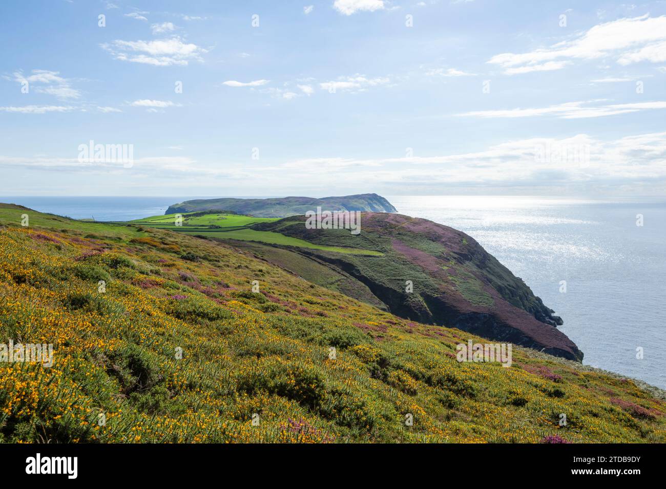 View towards the Calf of Man. Isle of Man, UK. Stock Photo