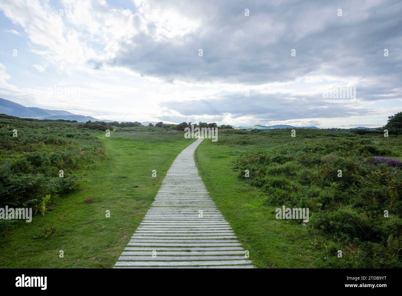 Boardwalk. County Down, Northern Ireland, UK. Stock Photo