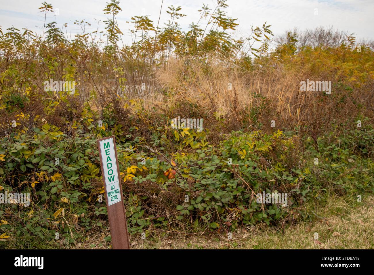 Washington, DC - A sign prohibits moving in a meadow between a bike ...