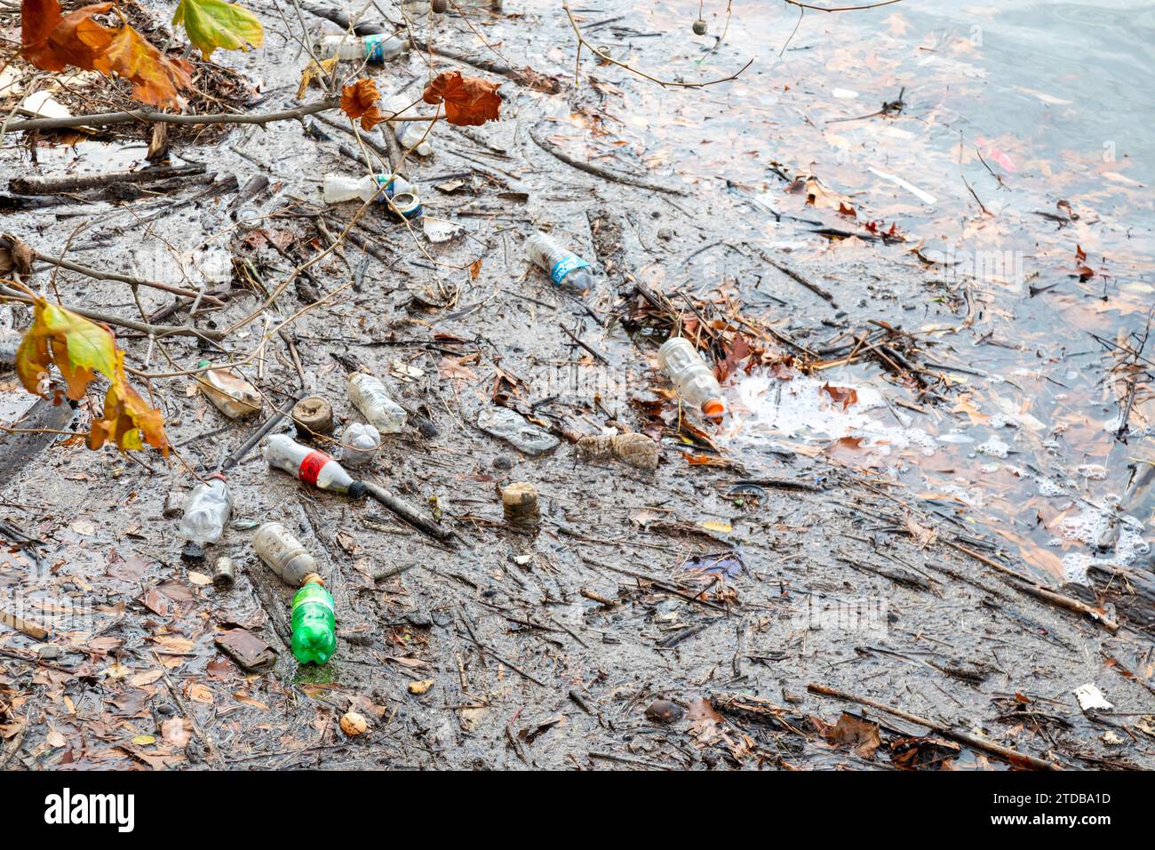 Washington, DC Bottles and other trash along the shore of the