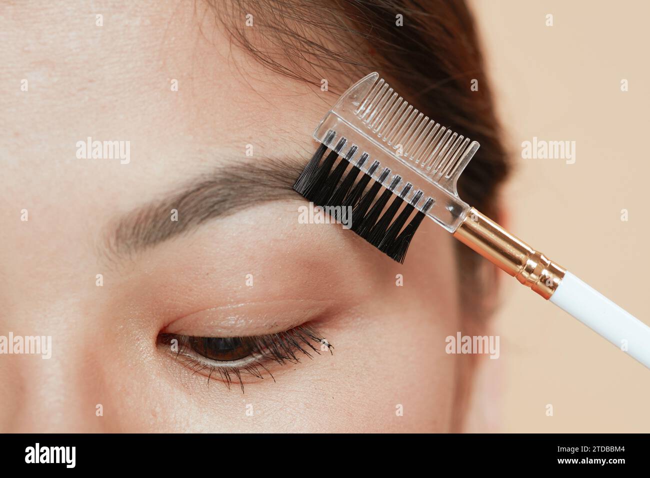 Closeup on asian female with brow brush. Stock Photo