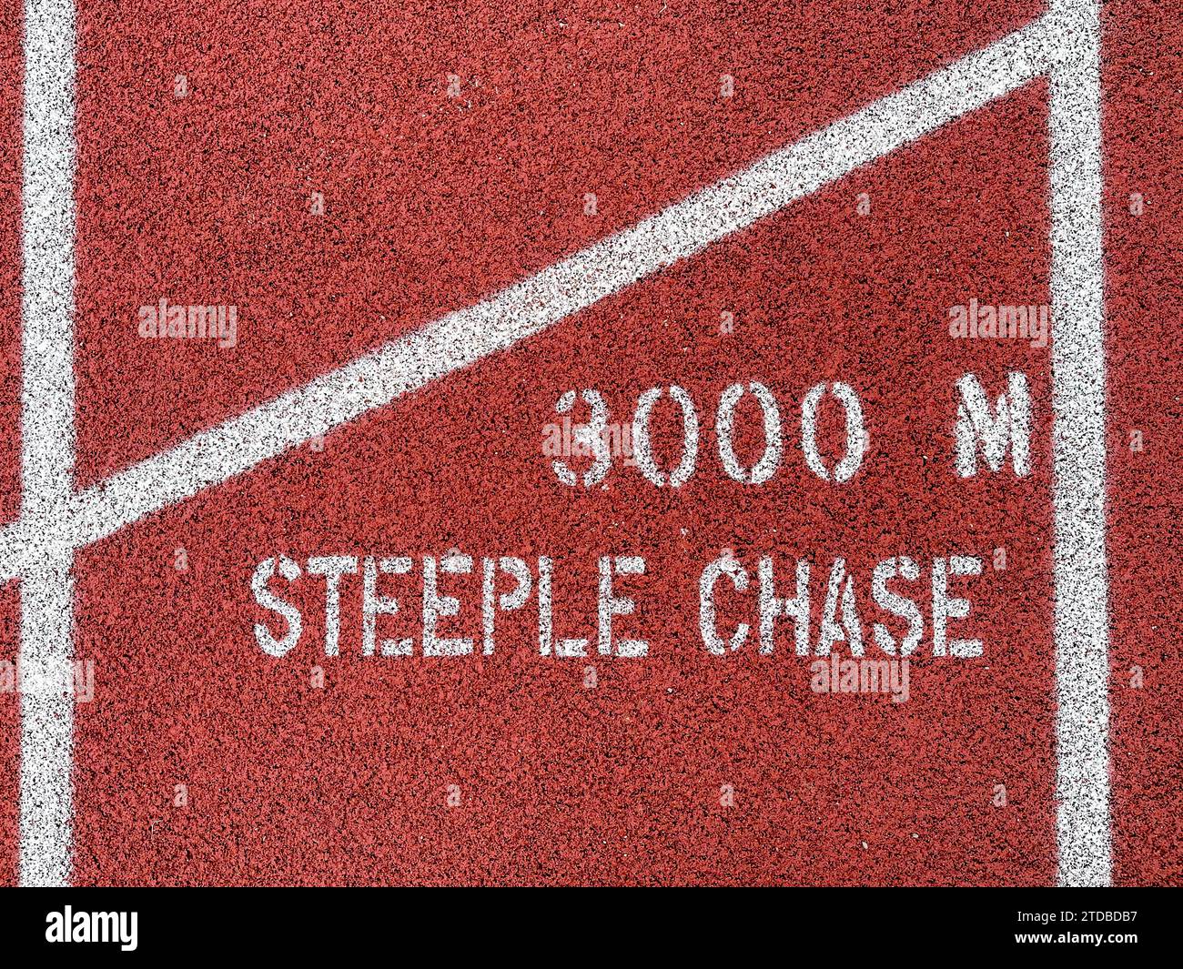 image of a red running track with white text 3000 M Steeple Chase over